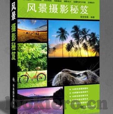 av极品麻豆-一窥AV界之极品麻豆的独特韵味与行业透视