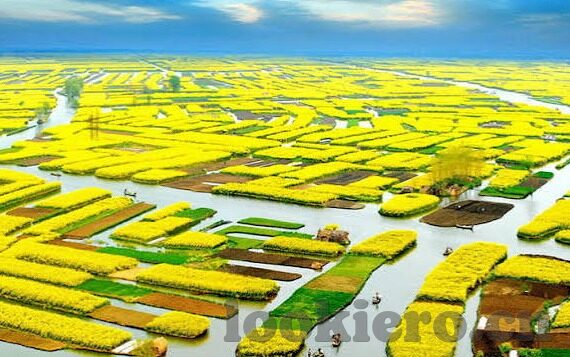 麻豆天美果冻传媒-麻豆天美果冻传媒，科技与艺术的数字融合新篇章