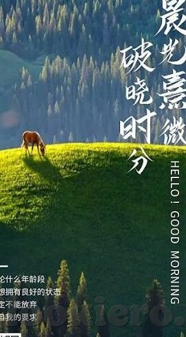 免费伦理电影网站-免费伦理电影网站，网络文化的新风尚