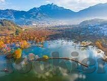 男人的天堂人妻-男人的天堂，人妻的魅力与情感交织