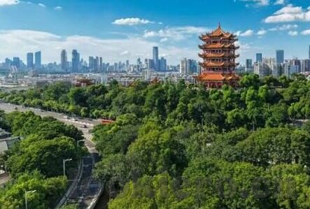 糖心app官网版下载-探索数字娱乐新天地，糖心APP官网版下载指南