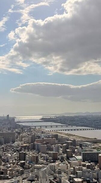 糖心视频app是哪个公司-解码新兴娱乐风潮，揭秘糖心视频的背后力量