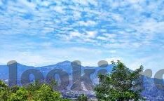 糖心直播视频APP-揭秘糖心直播视频APP的魅力与潜藏风险