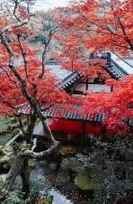 亚洲日韩AV无码电影-探索亚洲日韩影视文化的多元视角，从艺术与文化交流的维度